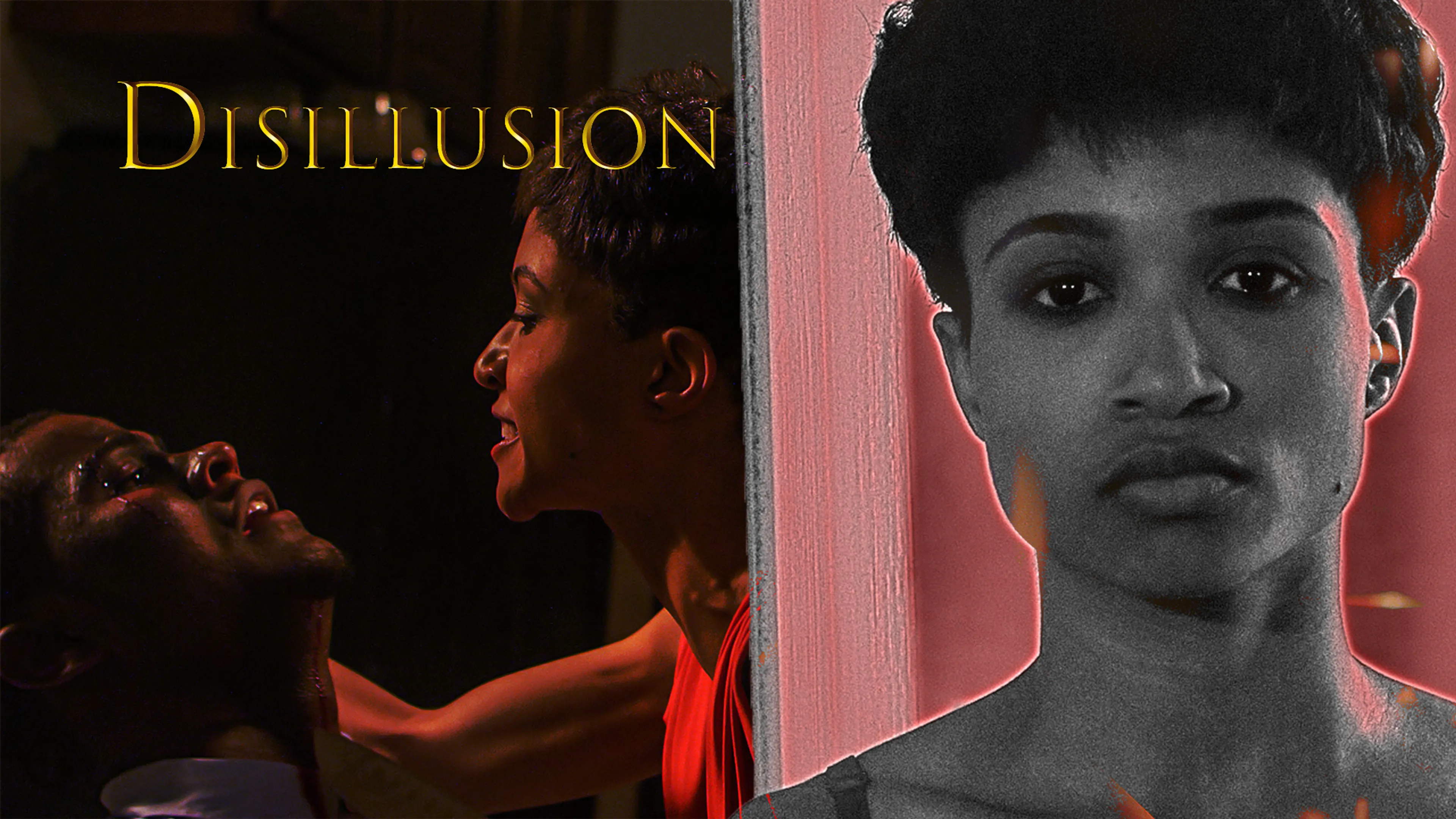 Disillusion poster